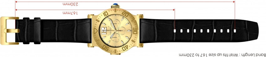 Image Band for Invicta Specialty 14916