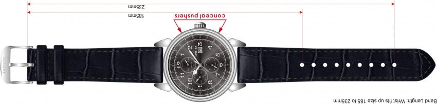 Image Band for Invicta Vintage 12213